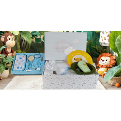 Corbeille cadeau naissance personnalisée