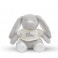 Peluche personnalisée 